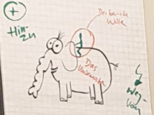 COACHING MODELL DES MESCHEN – BEWUSSTER WILLE